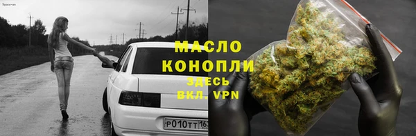 гидра Абаза