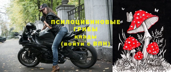 трава Абдулино