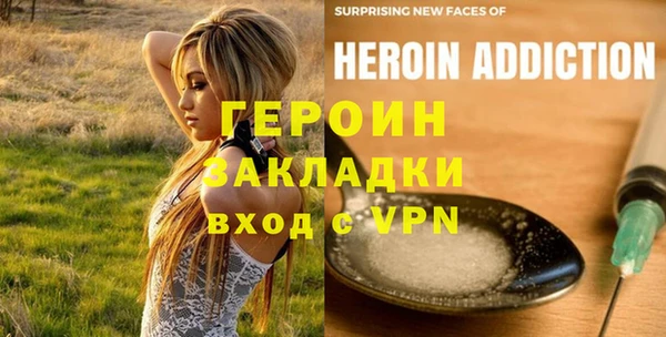 гидра Абаза