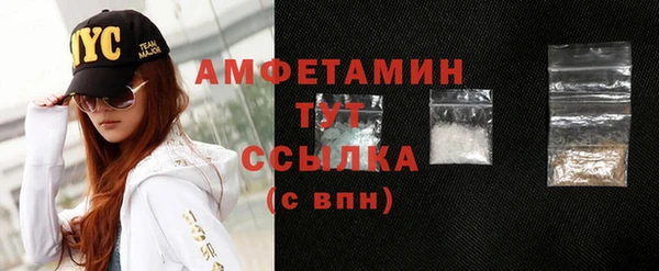 гидра Абаза
