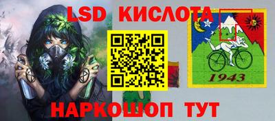 стаф Сланцы