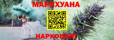 стаф Сланцы