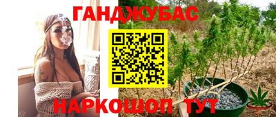СК Славгород