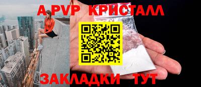 стаф Сланцы