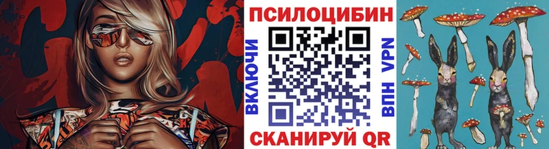 mega ТОР  Дятьково  Псилоцибиновые грибы MAGIC MUSHROOMS 